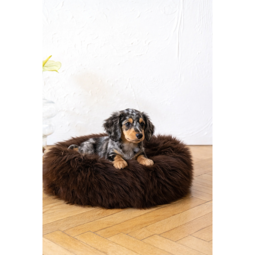 Natural Sheepskin Round Bed — Brown