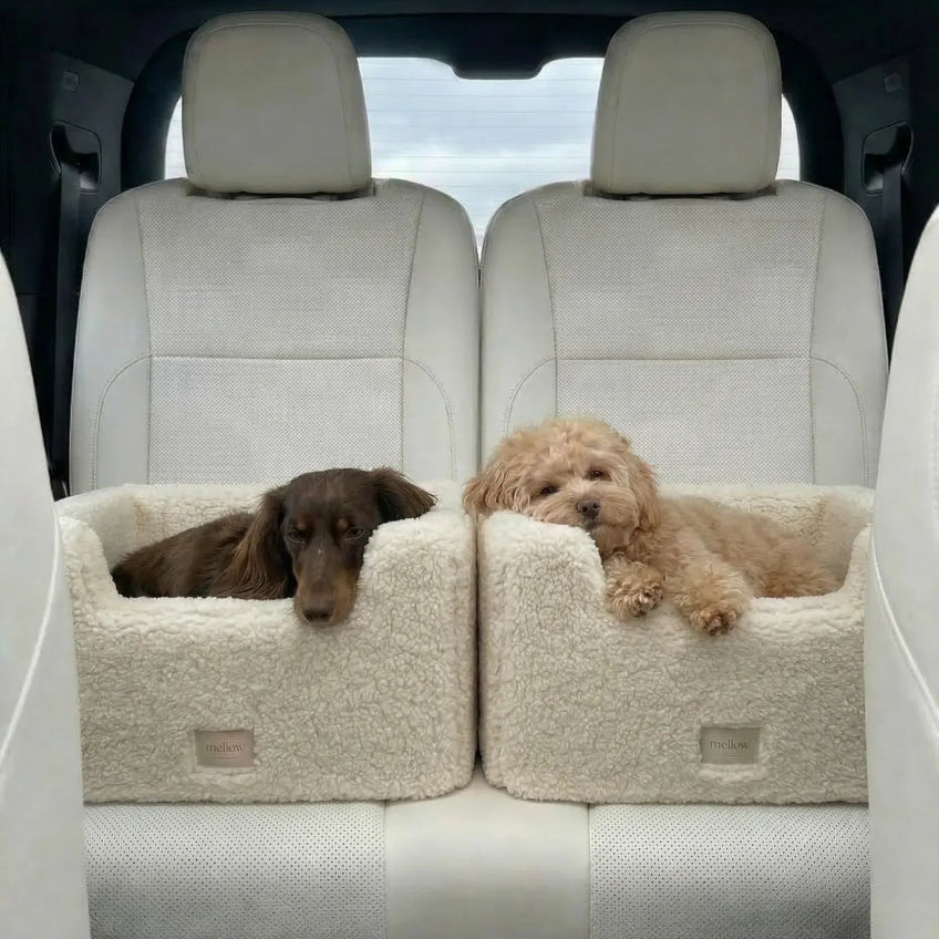 Natural Wool Dog Carrier - White-4