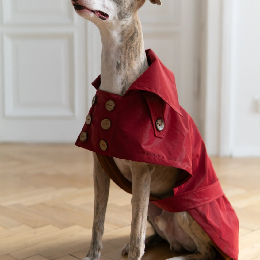 Water-repellent Dog Trench Coat - Burgundy Red-3