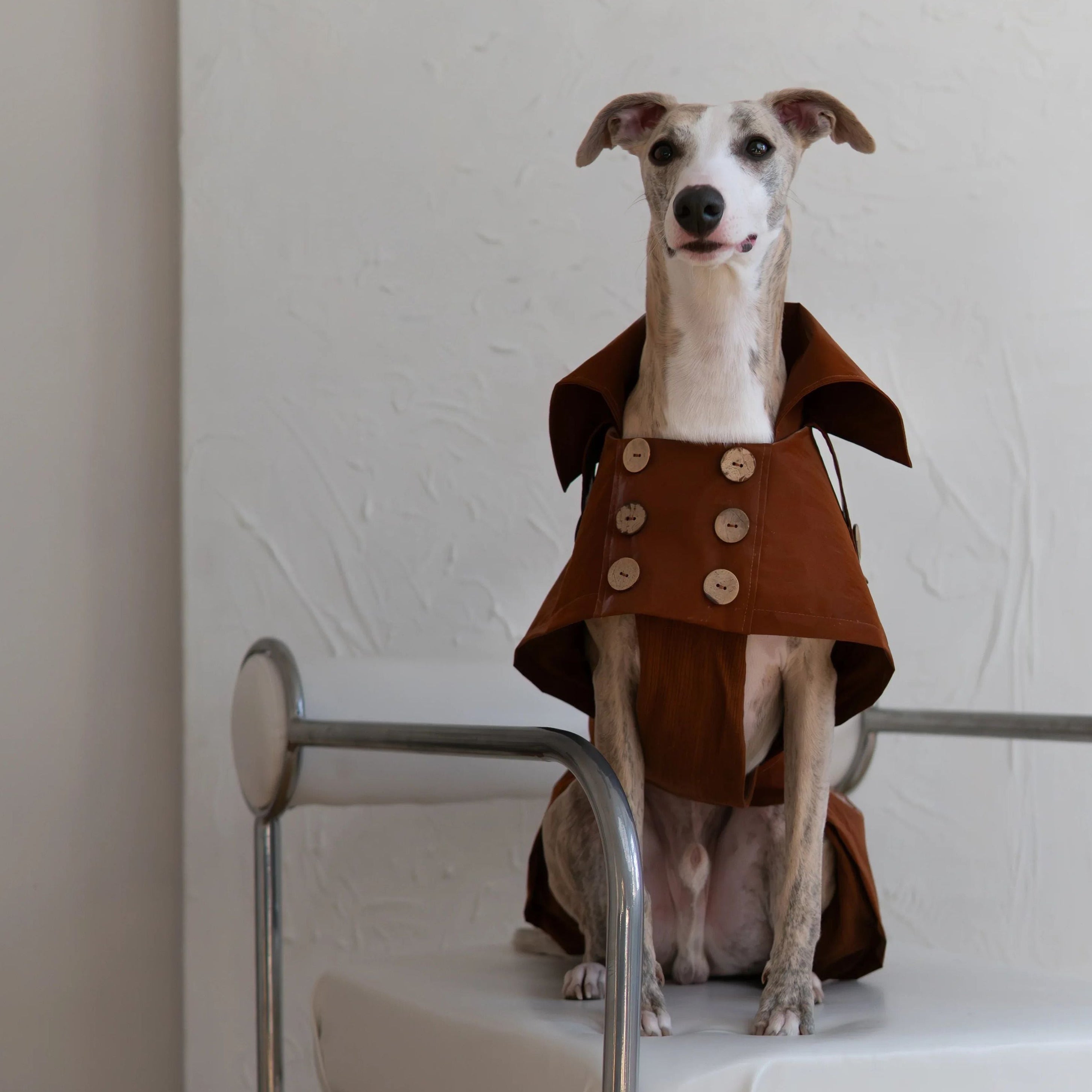 Water-repellent Dog Trench Coat - Chocolate Brown-1