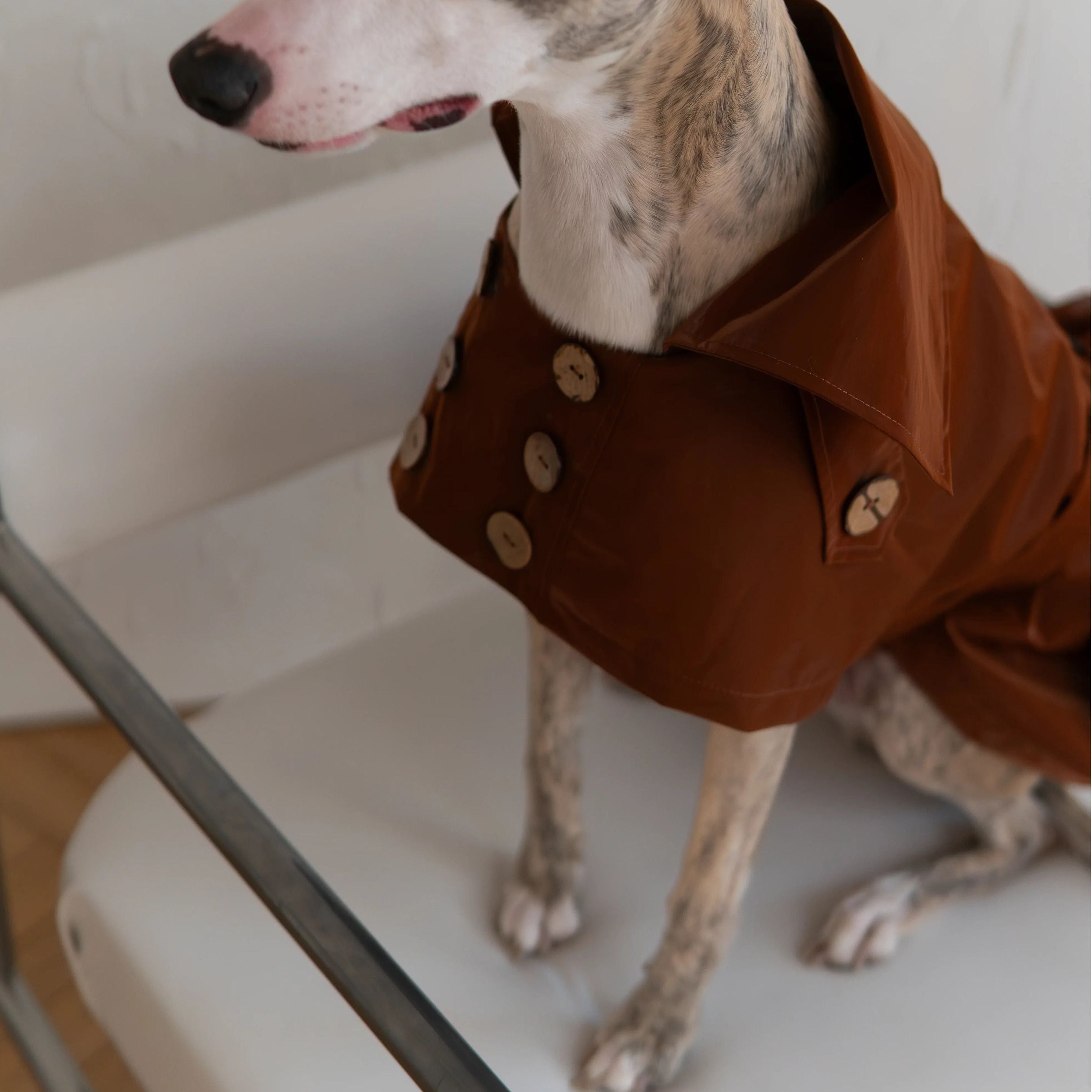 Water-repellent Dog Trench Coat - Chocolate Brown-3