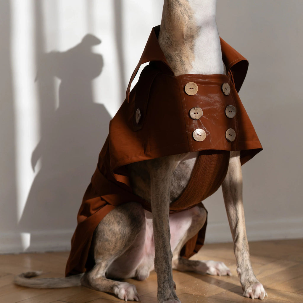Water-repellent Dog Trench Coat - Chocolate Brown-0