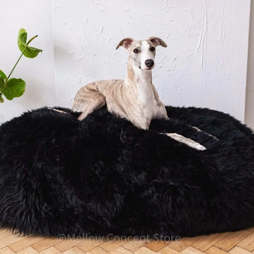 Oval Natural Sheepskin Pet Bed - Black-0