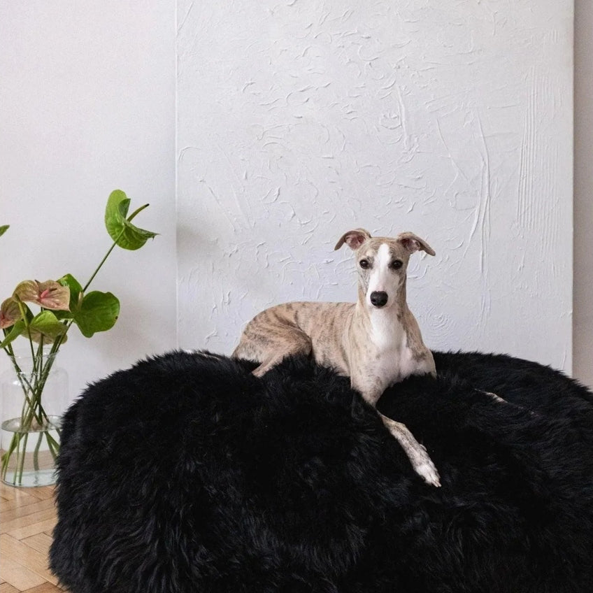 Oval Natural Sheepskin Pet Bed - Black-3