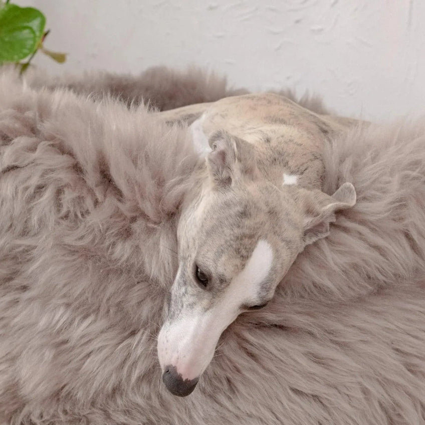 Oval Natural Sheepskin Pet Bed - Greige-4