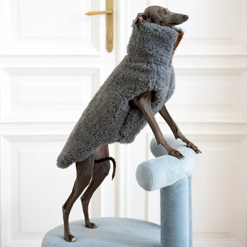 Woolen Dog Vest - Dark Grey-0