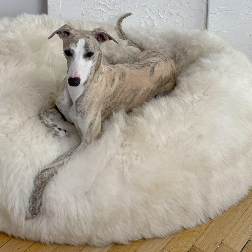 Oval Natural Sheepskin Bed - White-2