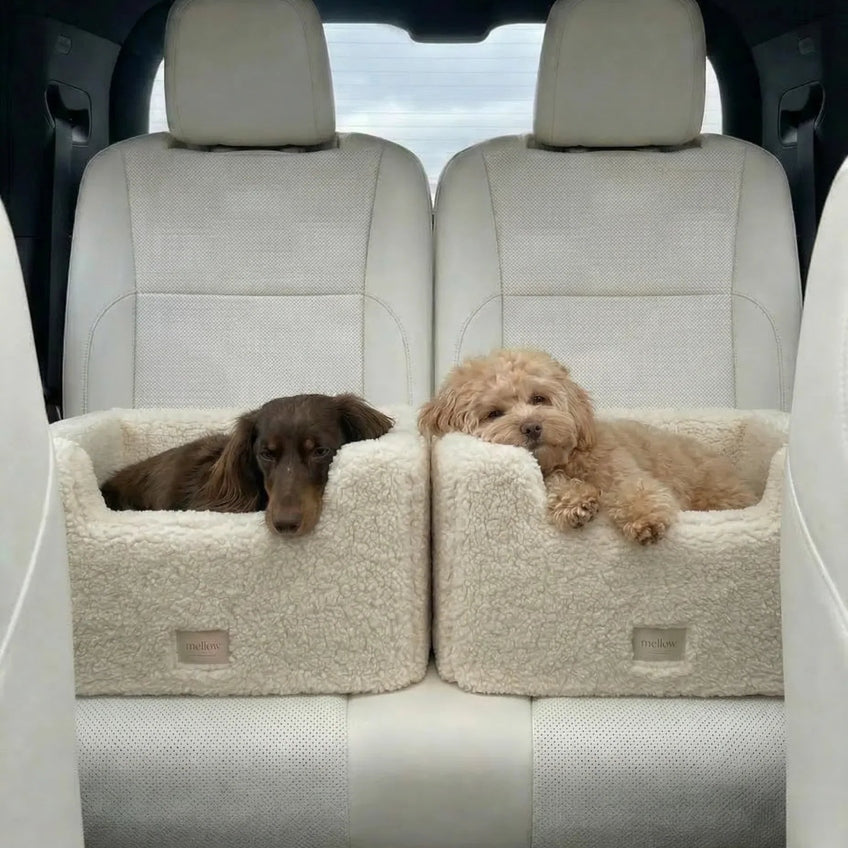 Natural Wool Dog Carrier - Beige-4