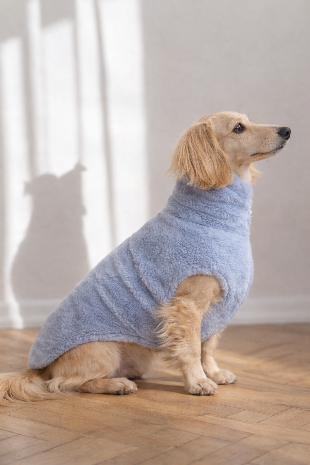 The Woolen Dog Vest — Blue