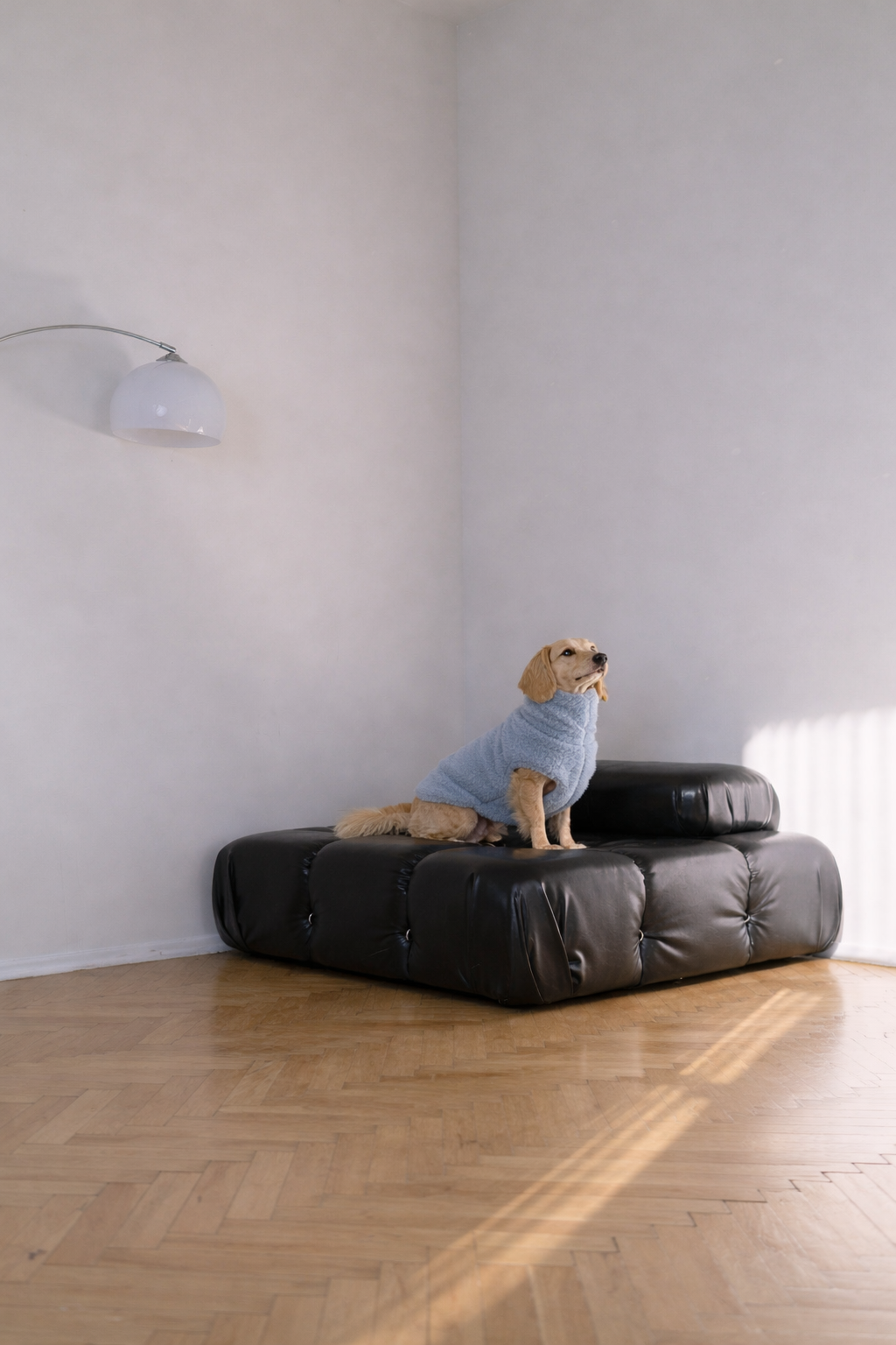 The Woolen Dog Vest — Blue