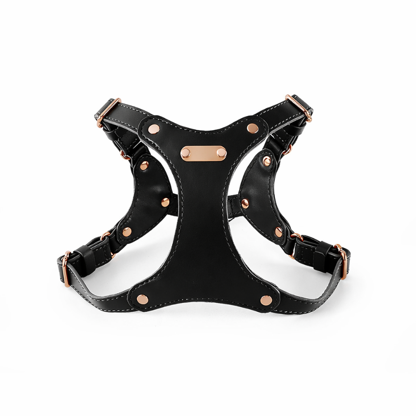 Leather Core Harness