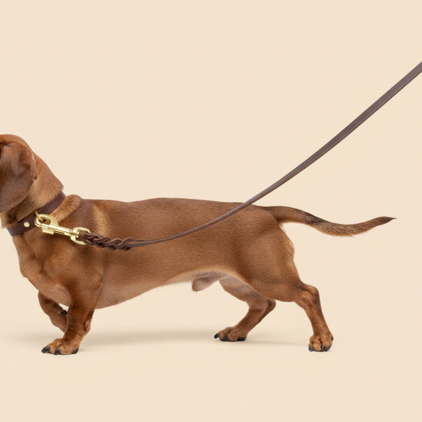 Classic Leather Lead