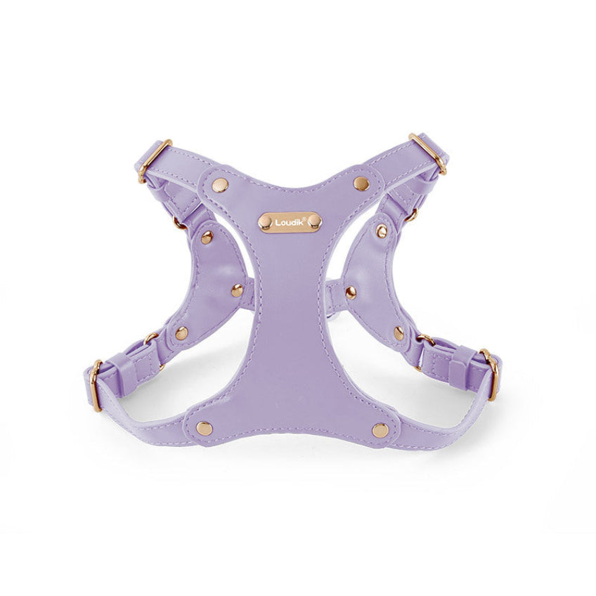 Leather Core Harness