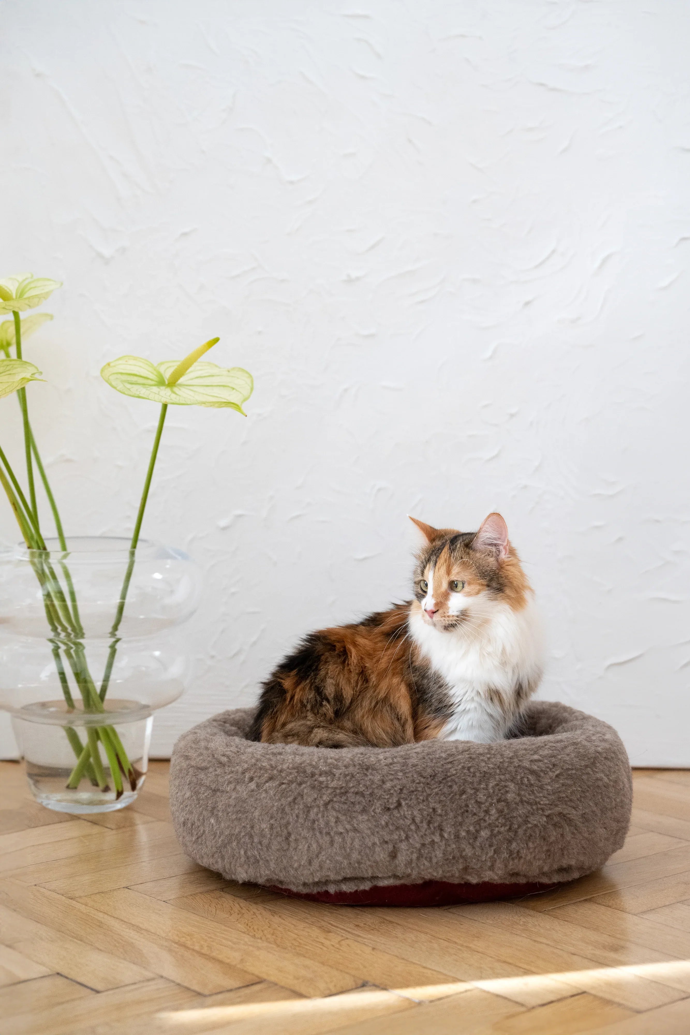 Round Natural Wool Bed - Graige-0
