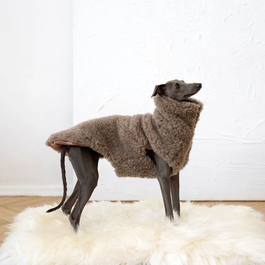 Woolen Dog Vest - Beige-1