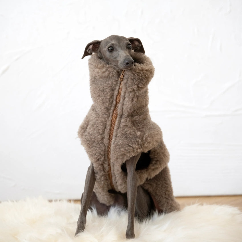 Woolen Dog Vest - Beige-0