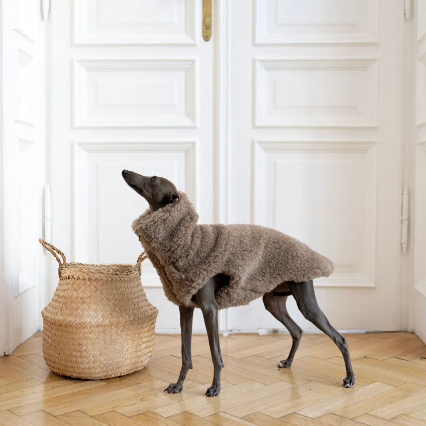 Woolen Dog Vest - Beige-2