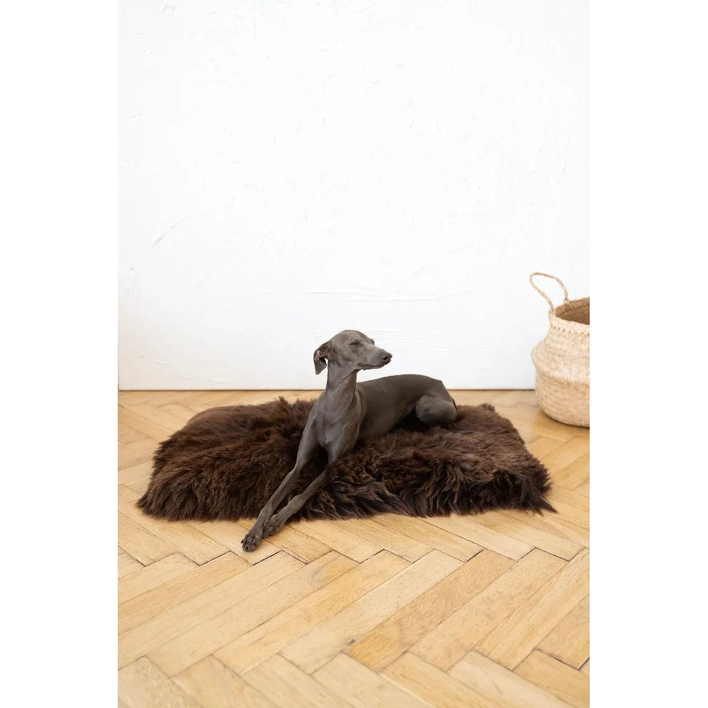  Natural Sheepskin Pet Mat - Brown - Square /Rectangular-1