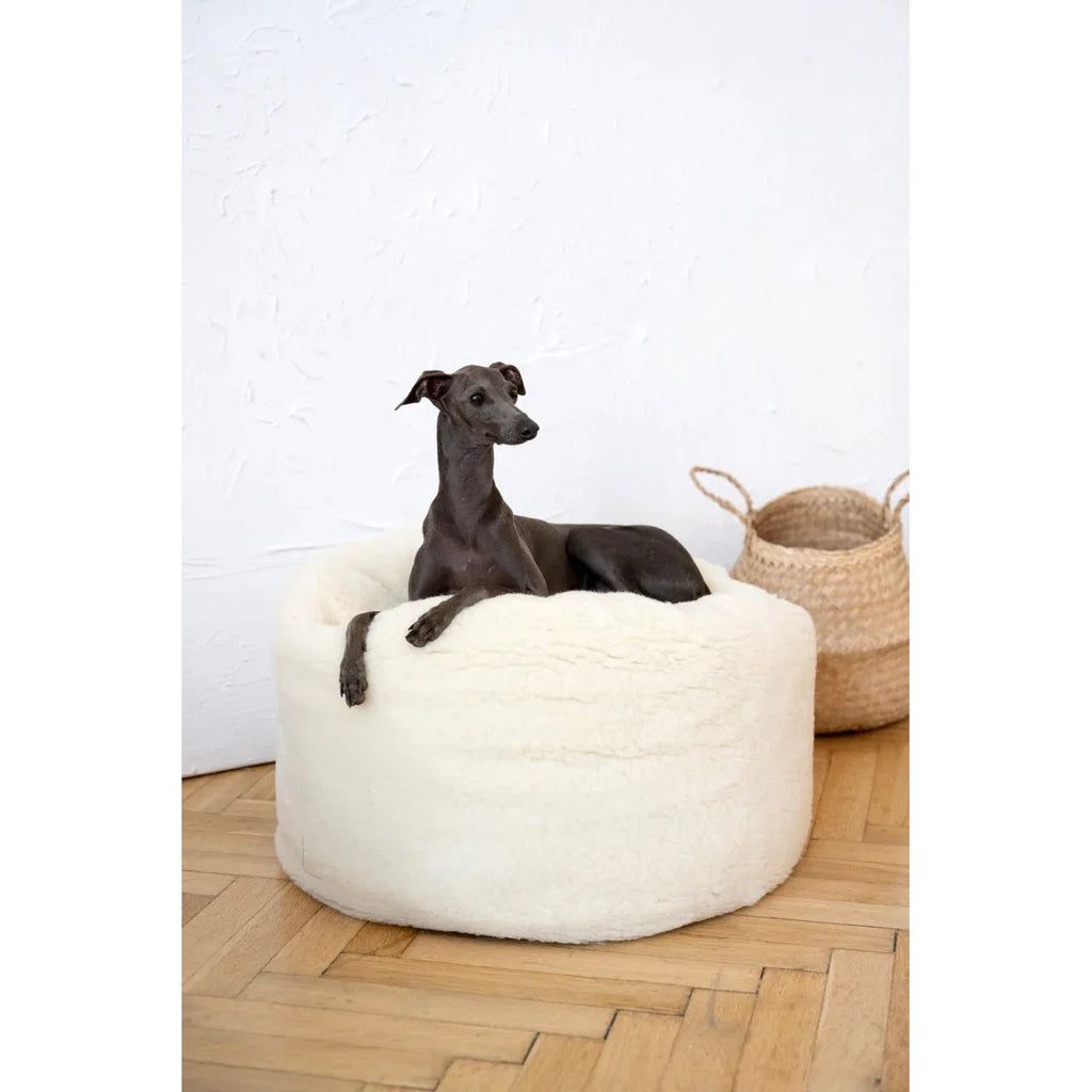 Oval Natural Wool Pet Bed - White-3