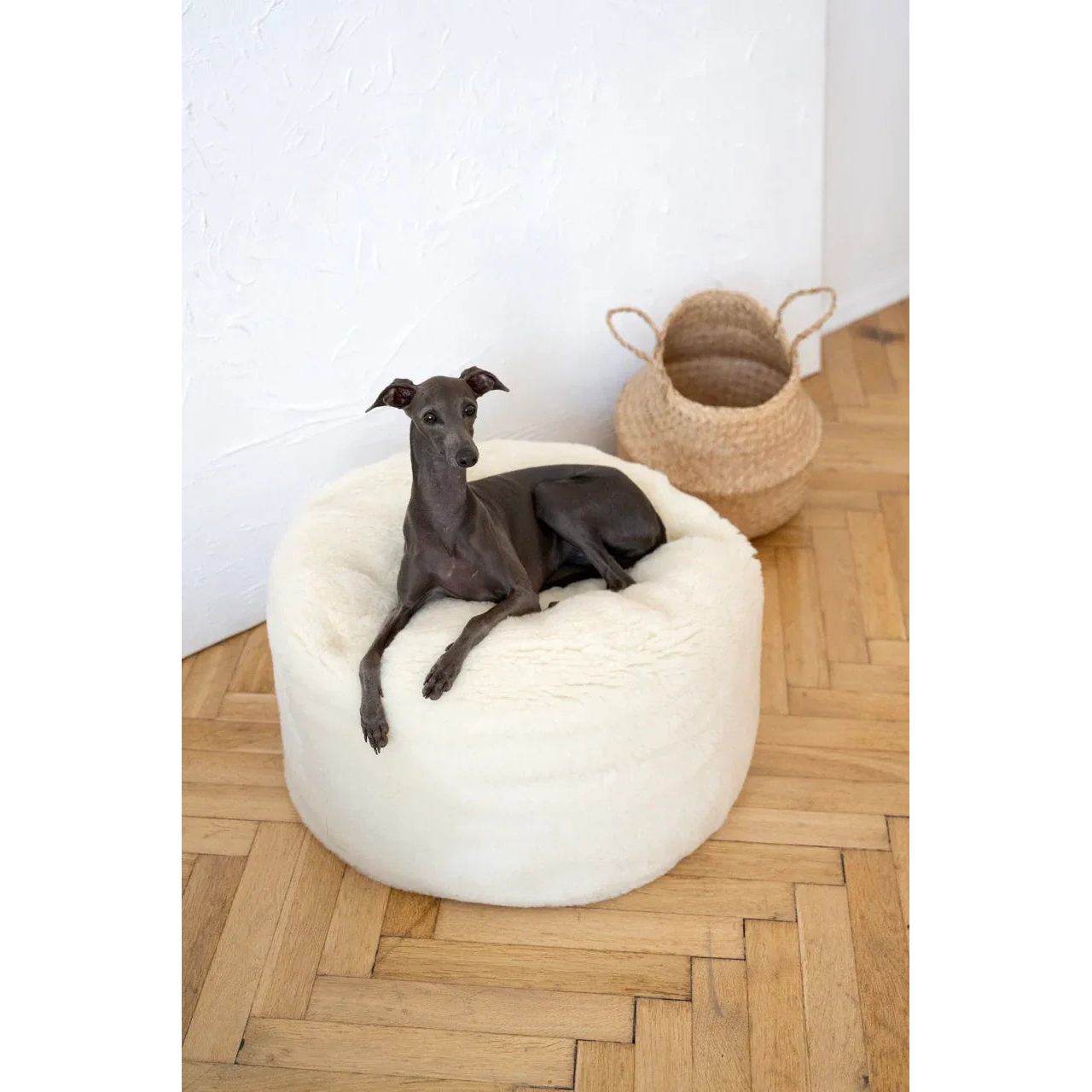 Oval Natural Wool Pet Bed - White-0