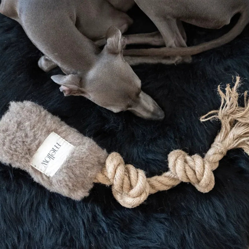 Natural Woolen Dog Tug Toy - Beige-1