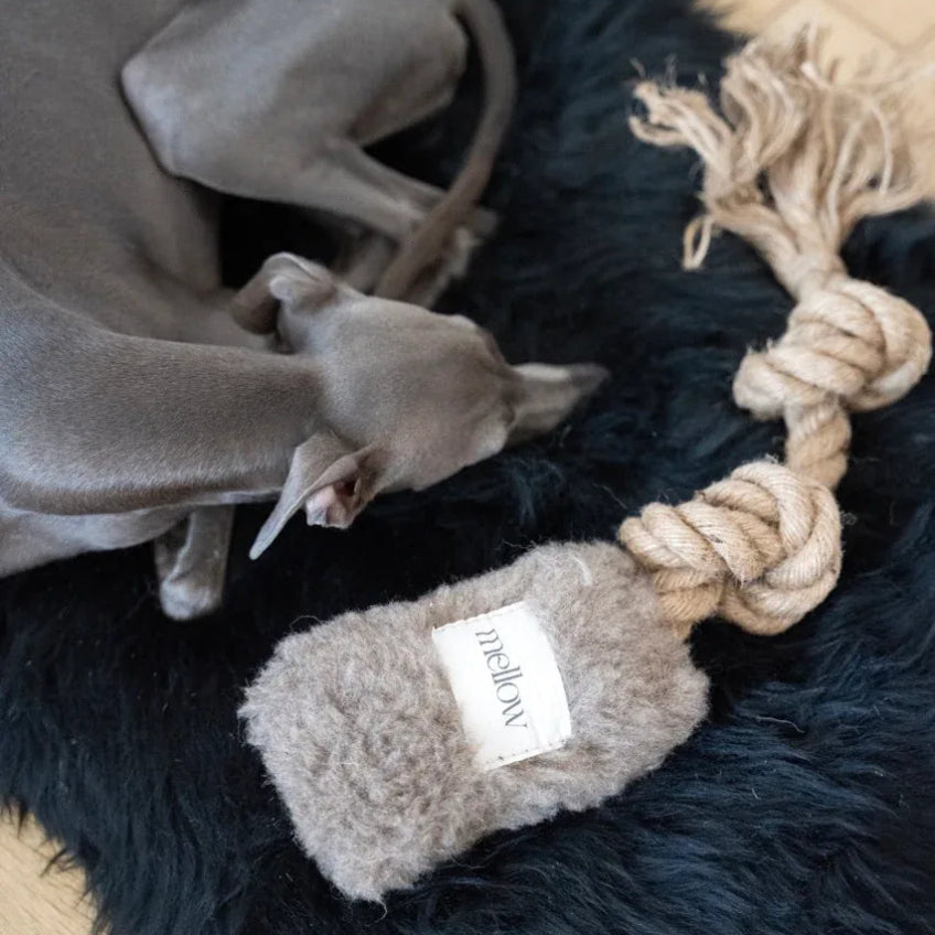 Natural Woolen Dog Tug Toy - Beige-0
