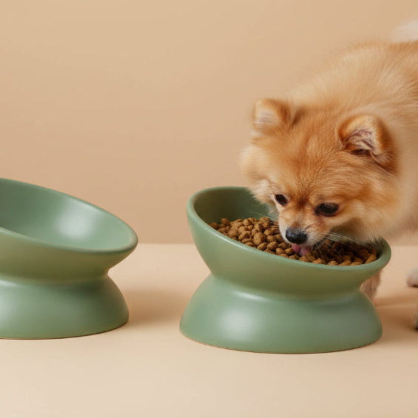 Angle Bowl - Mint Green