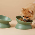 Angle Bowl - Mint Green