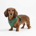 Silk Harness — Dark Green