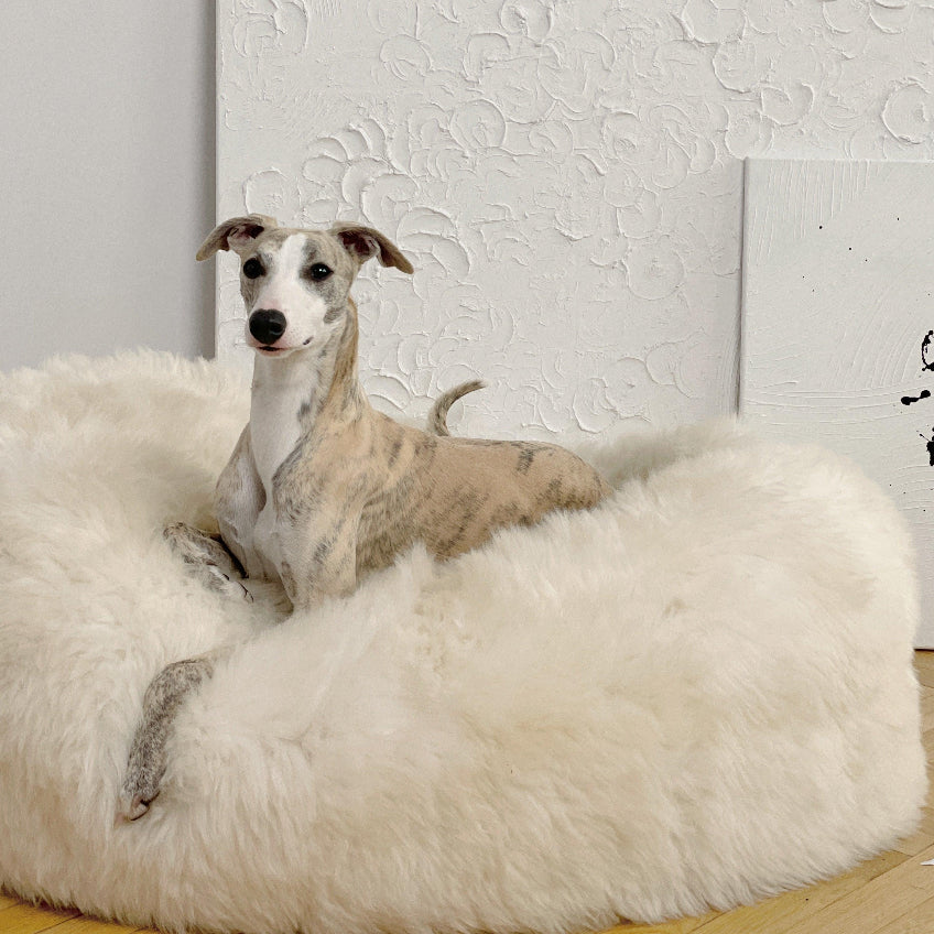 Oval Natural Sheepskin Bed - White-1