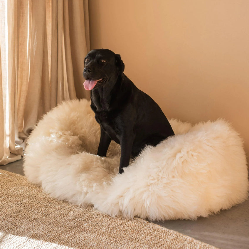 Oval Natural Sheepskin Bed - White-3