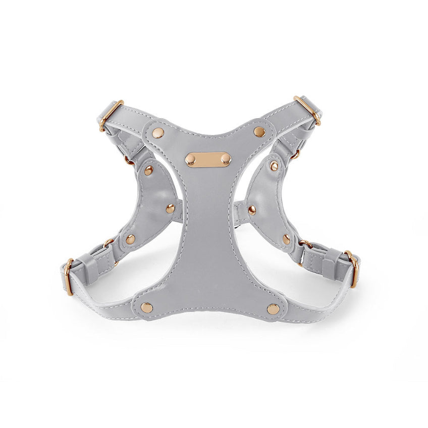 Leather Core Harness