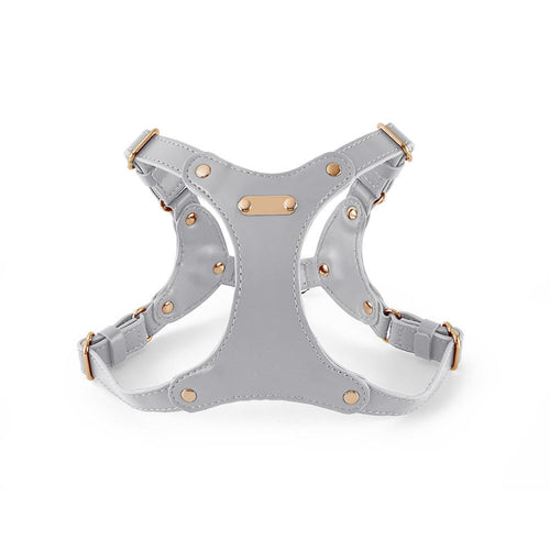 Leather Core Harness