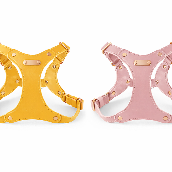 Leather Core Harness