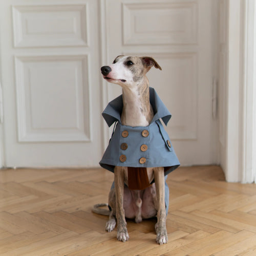 Water-repellent Dog Trench Coat - Light Blue-0