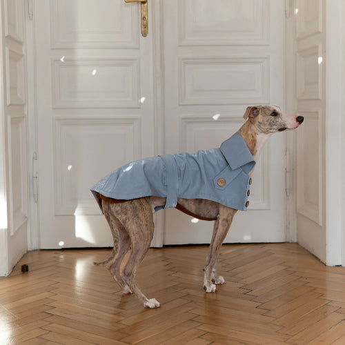 Water-repellent Dog Trench Coat - Light Blue-1