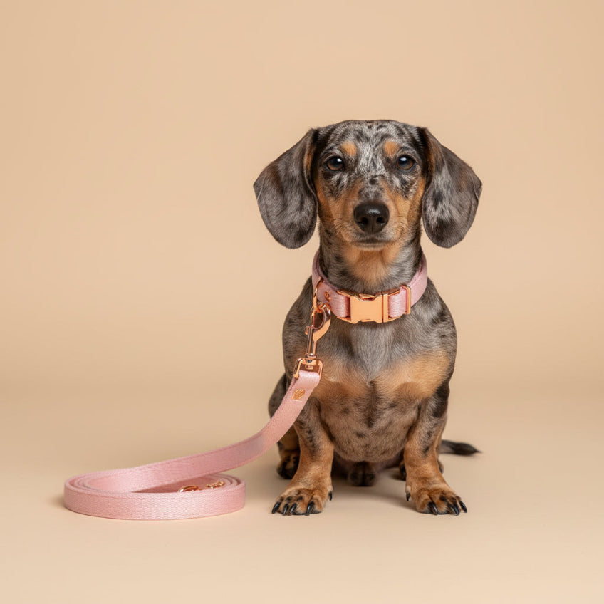 Velvet Collar - Rose Gold