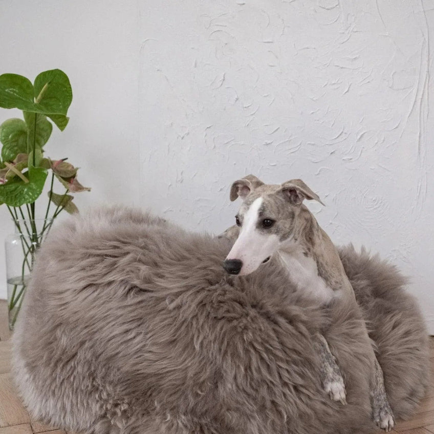 Oval Natural Sheepskin Pet Bed - Greige-2