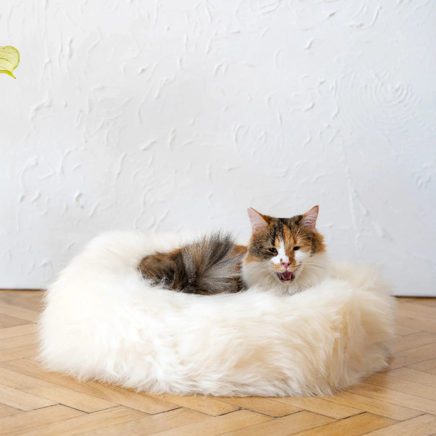 Round Natural Sheepskin Pet Bed - White-0