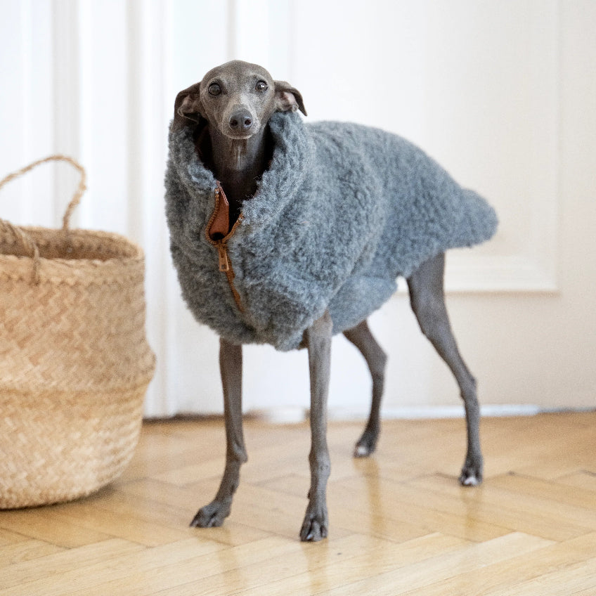 Woolen Dog Vest - Dark Grey-2