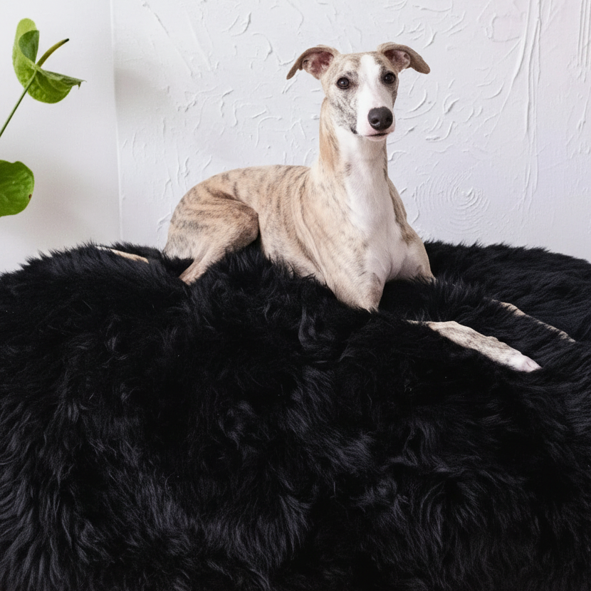 Natural Sheepskin Oval Bed — Black