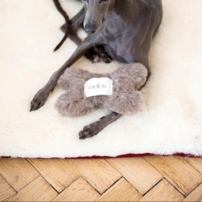 Natural Woolen Dog Toy - Bone - Charcoal-2