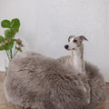 Oval Natural Sheepskin Pet Bed - Greige-0