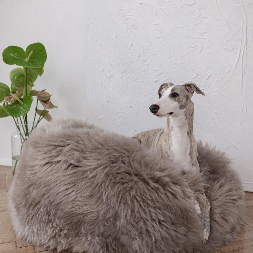 Oval Natural Sheepskin Pet Bed - Greige-0