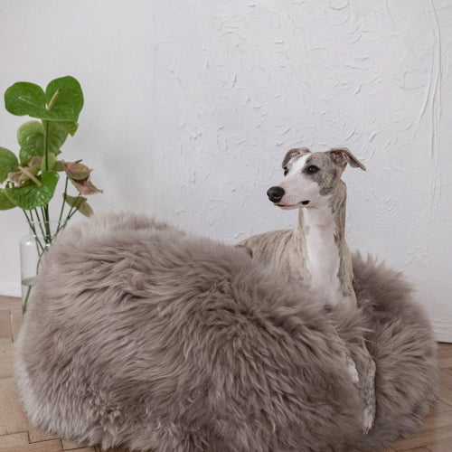 Oval Natural Sheepskin Pet Bed - Greige-0