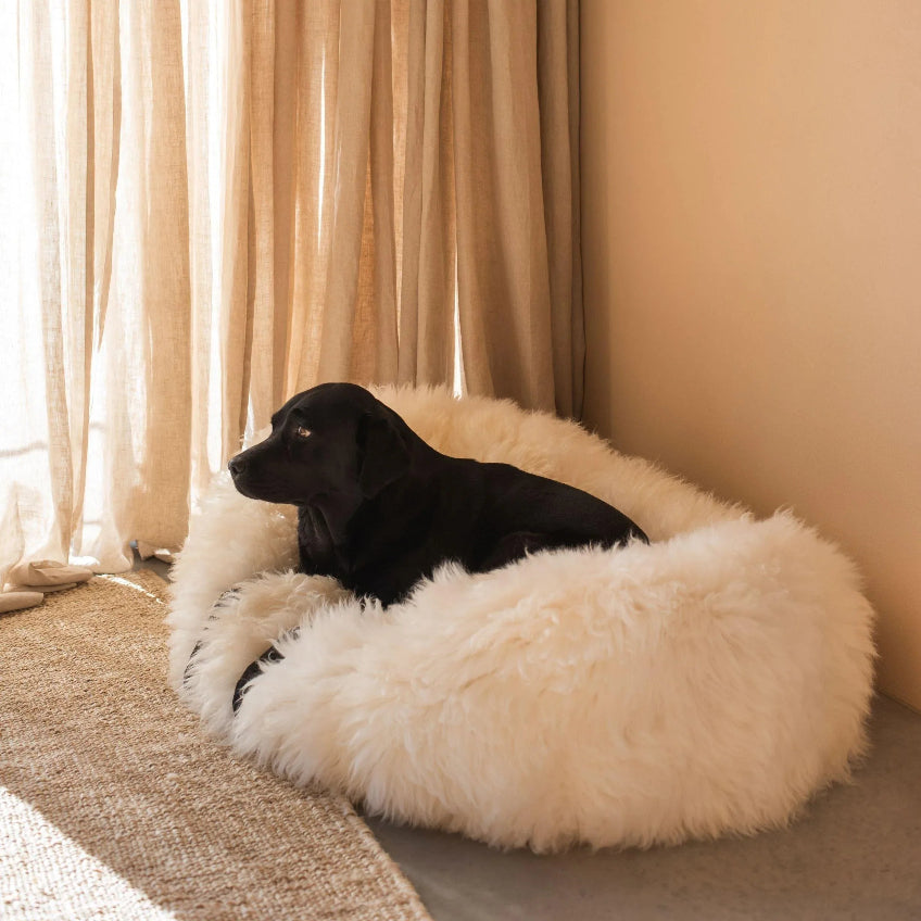 Oval Natural Sheepskin Bed - White-4