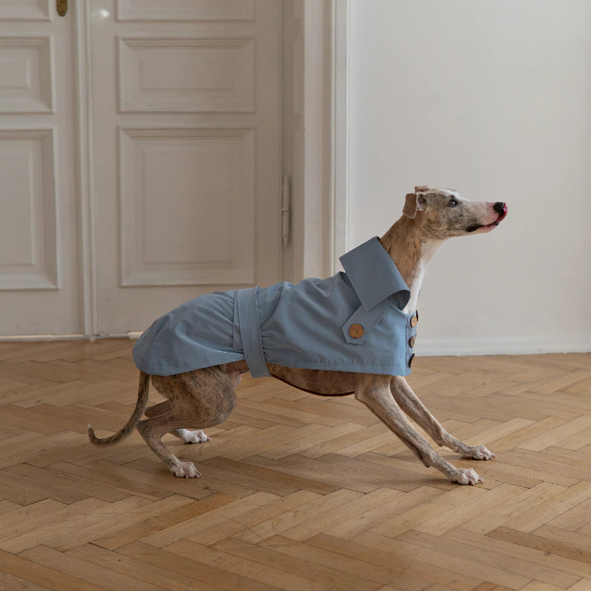 Water-repellent Dog Trench Coat - Light Blue-4