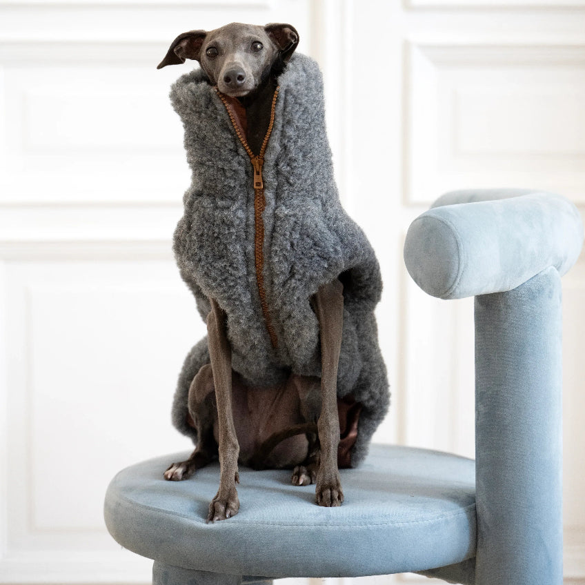 Woolen Dog Vest - Dark Grey-1