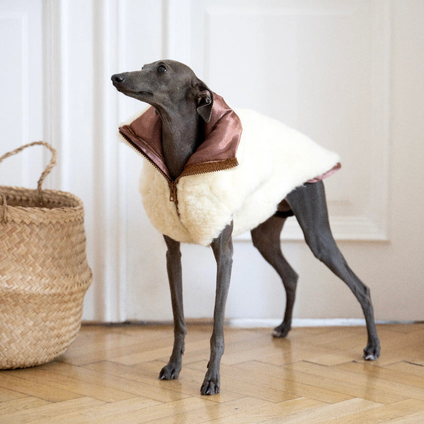 Woolen Dog Vest - White-0
